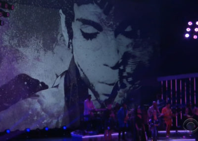 Let’s Go Crazy: The Grammy Salute to Prince